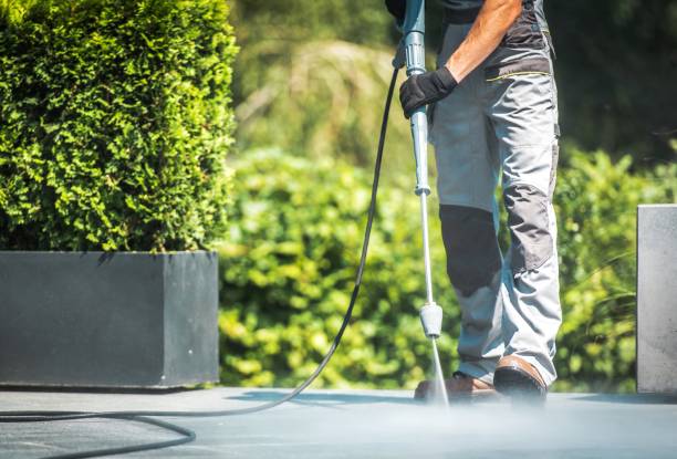 Best Driveway Pressure Washing  in Horse Pasture, VA