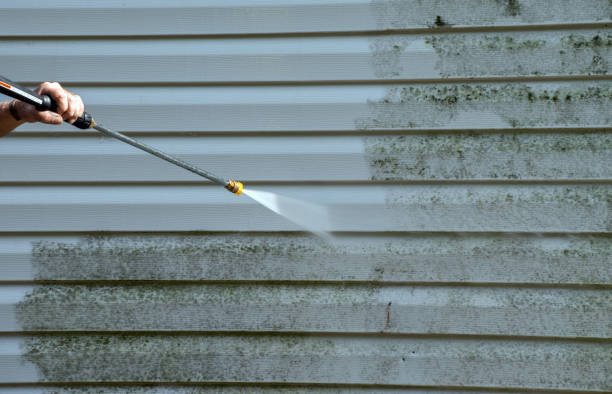 Paint Preparation in Horse Pasture, VA